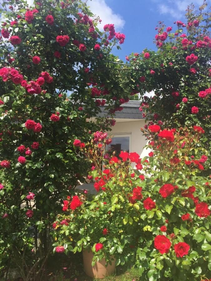 Apartamento Bei Annemarie Tréveris Exterior foto