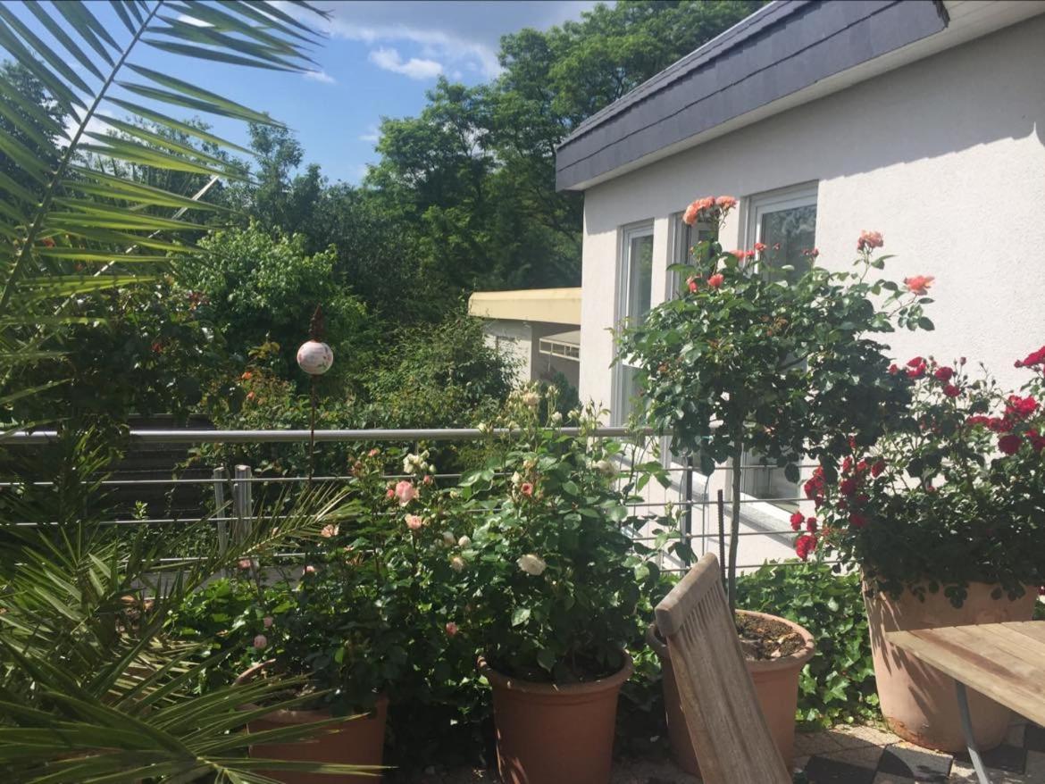 Apartamento Bei Annemarie Tréveris Exterior foto